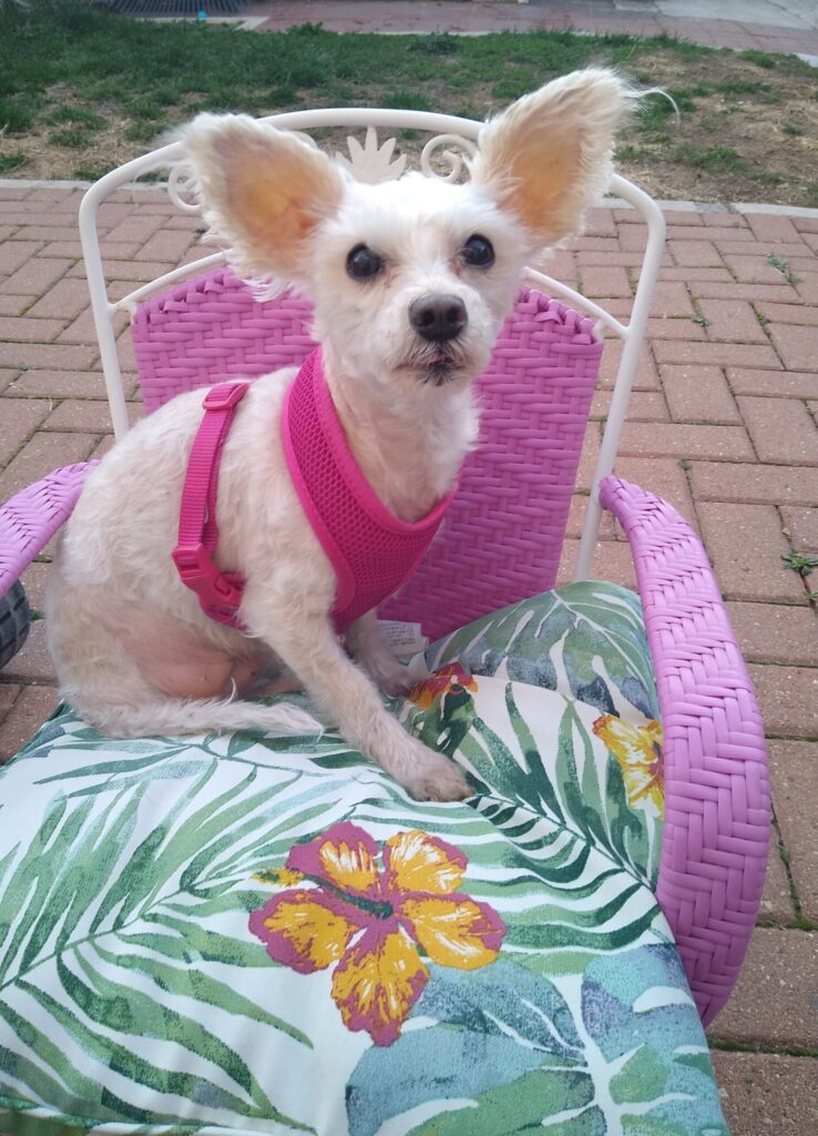 img 20230414 0639582952 scaled.jpg