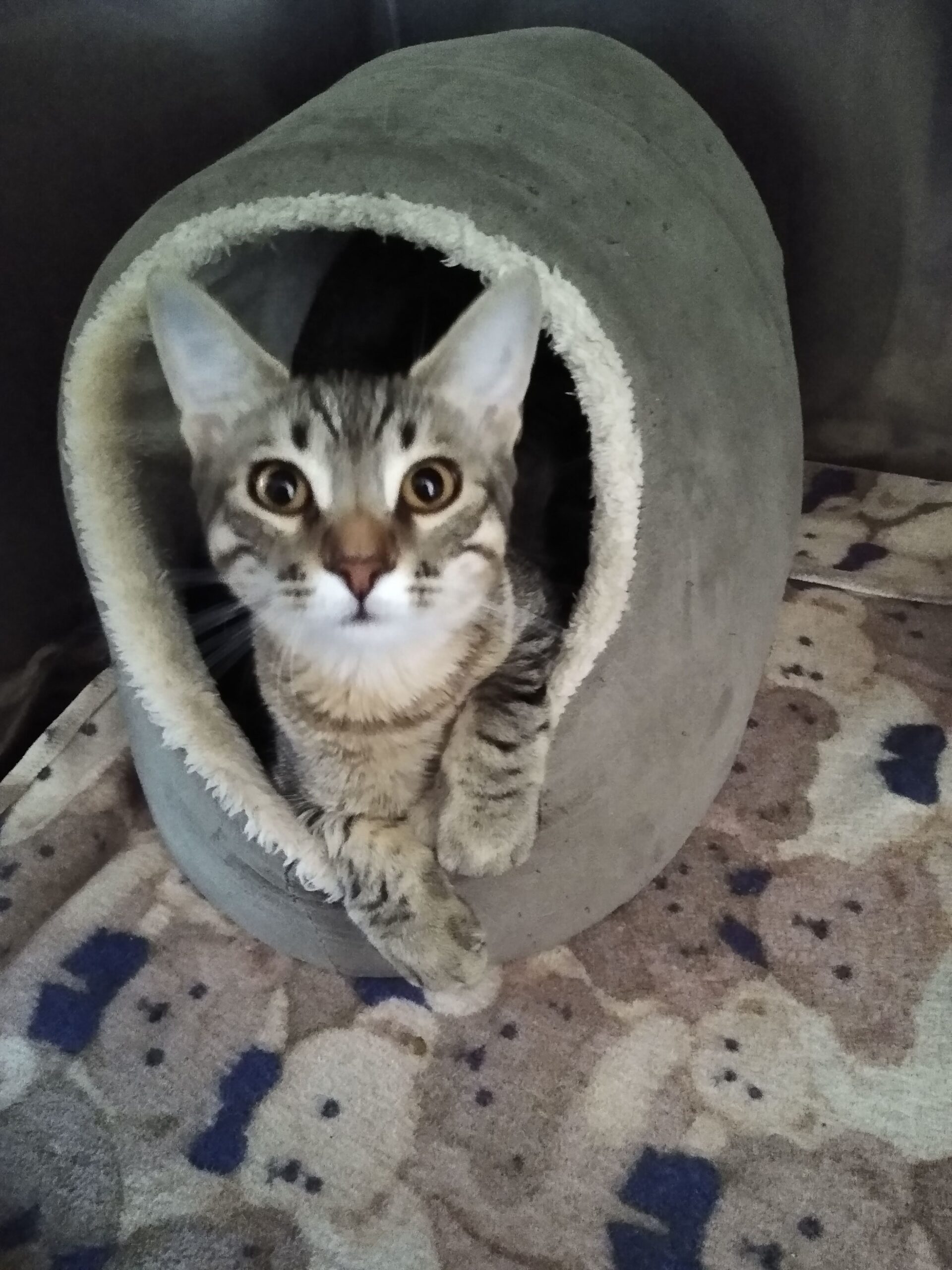 img 20240711 151659303 scaled.jpg