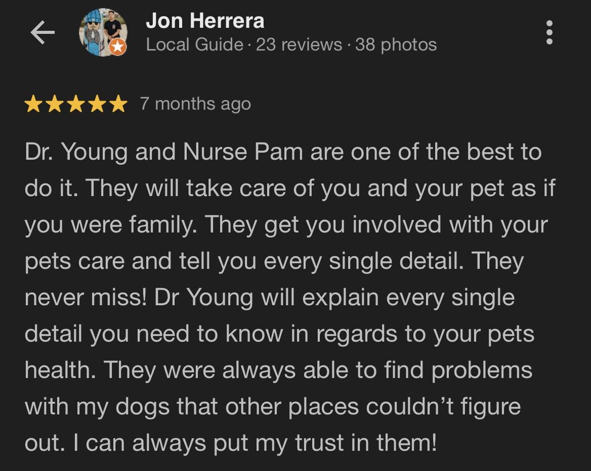 lah website screenshot review jon h e1765924233279.jpg