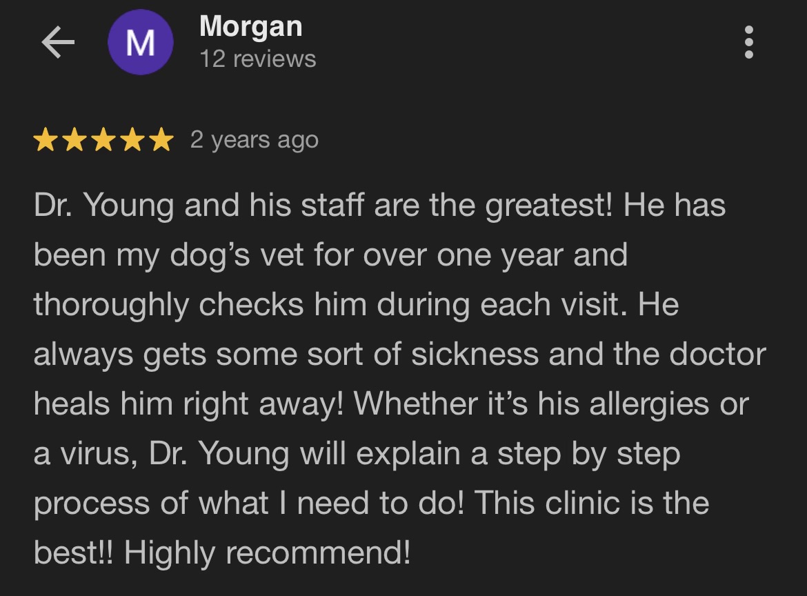 lah website screenshot review morgan c.jpg